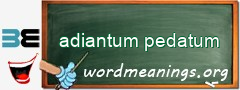 WordMeaning blackboard for adiantum pedatum